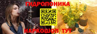Альфа ПВП Обь