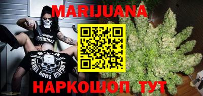 Альфа ПВП Обь