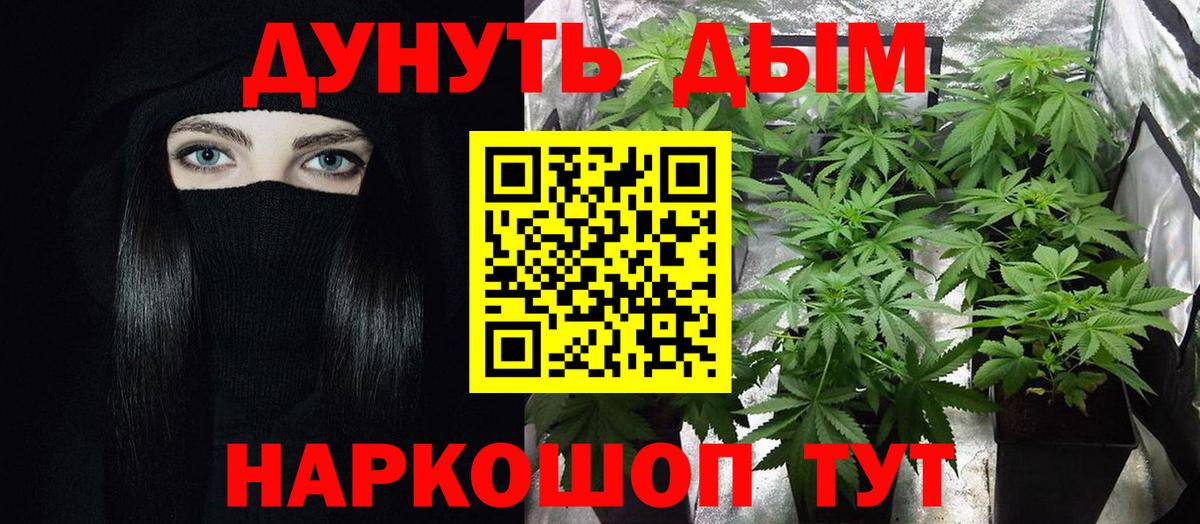 Бошки Шишки конопля Аргун